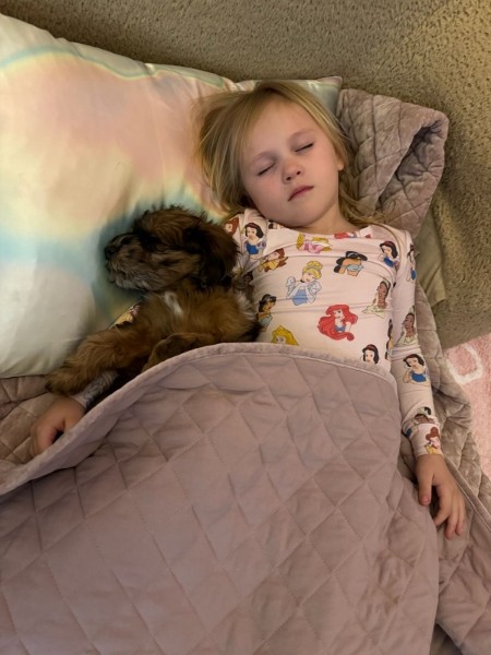 Puppy Sleeping with little girl