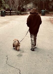 Puppy walking with boy