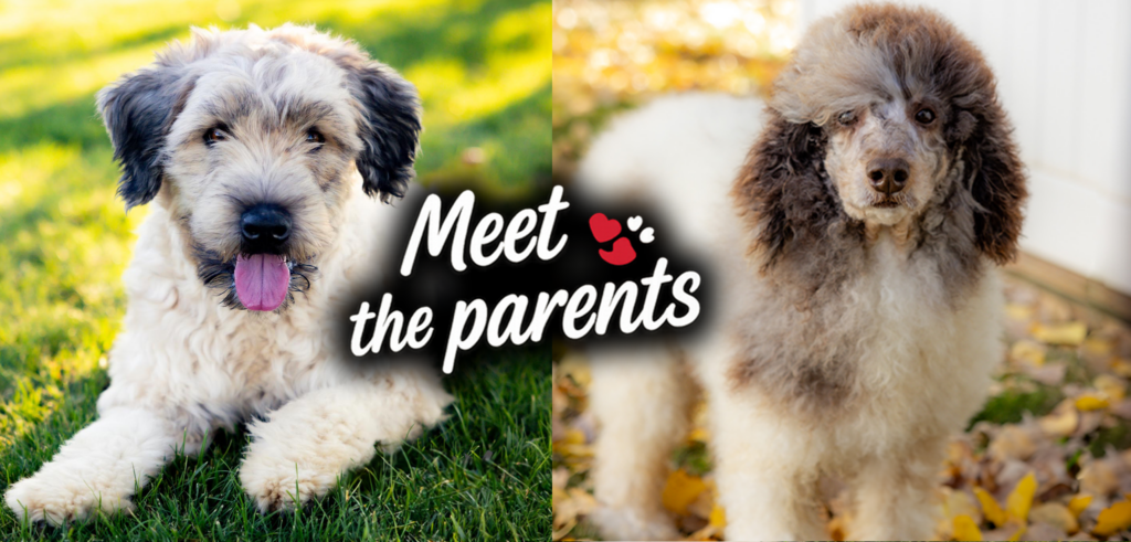 Kimber & Chuck Coming Soon