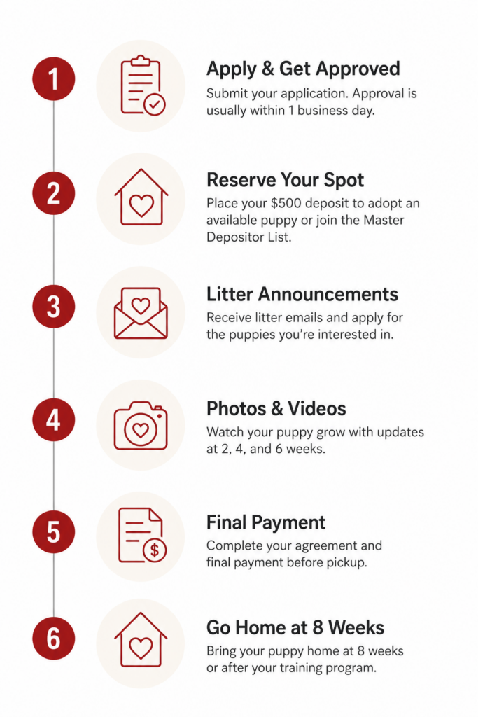 Adoption Process